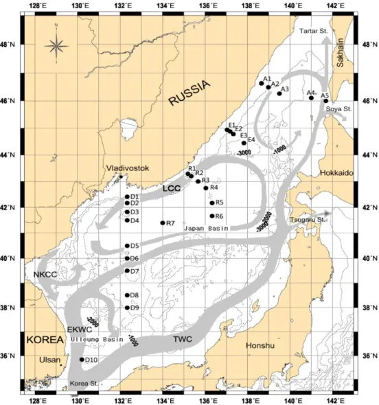 Fig. 1. Location of sampling stations and schematic map of the surface currents of the East Sea: LCC: Liman Cold Current, NKCC: North Korean Cold Current, EKWC: East Korean Warm Current, and TWC: Tsushima Warm Current (modified after Lee  et al.[2009]).