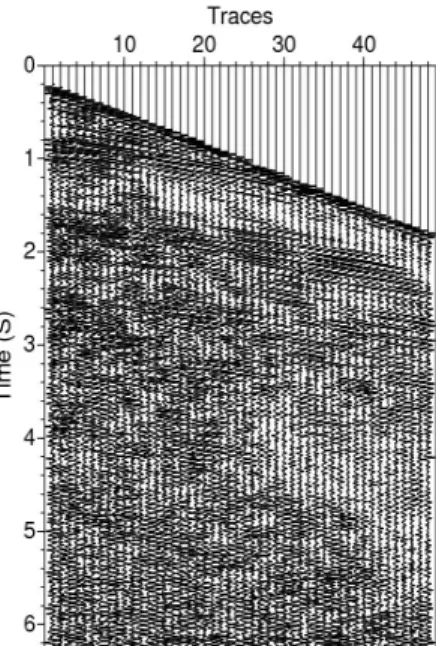 Fig. 4. A processed shot gather at SP 4700.