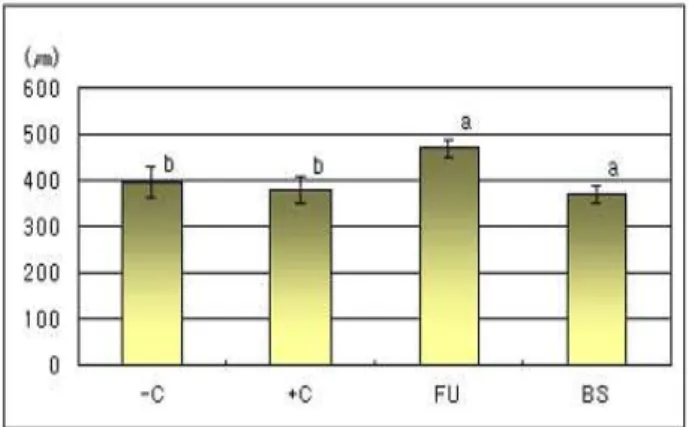 Fig. 5. Effects of dietary supplements of fucoidans and seaweed on weight of small intestine in 3weeks broilers.