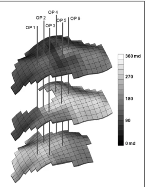 Fig. 13. Permeability distribution calculated by inverse model. 결   론 본 연구에서는 생산 자료의 역산을 통해 투과도 ,  상대 투과도와 대수층 물 유입량을 규명할 수 있는 메모리분 산 병렬처리 GA에 기반한 역산 모델을 개발하였다