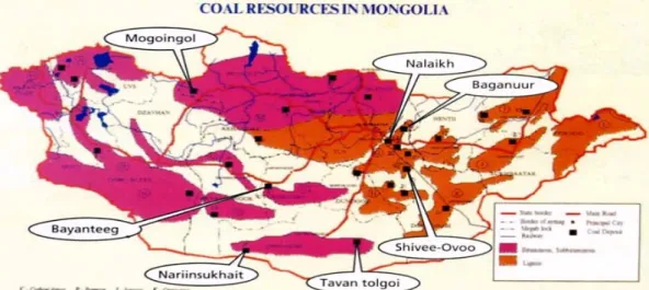 Fig. 9. A condition of Mongolian plant (Sun Jin Energy)
