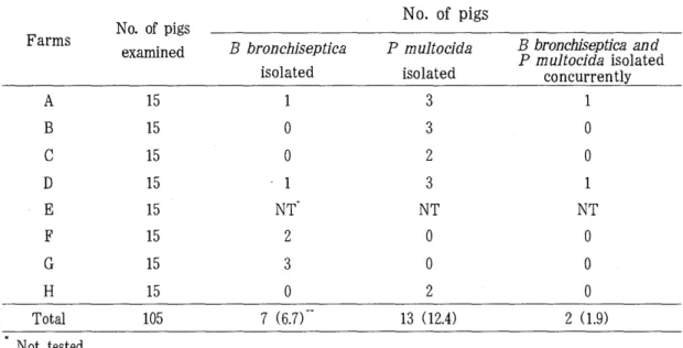 Table  2.  The  isolation  of  B bronchiseptica  and  P mu/tocida  from  nasal  swabs  of  slaughtered  pigs 