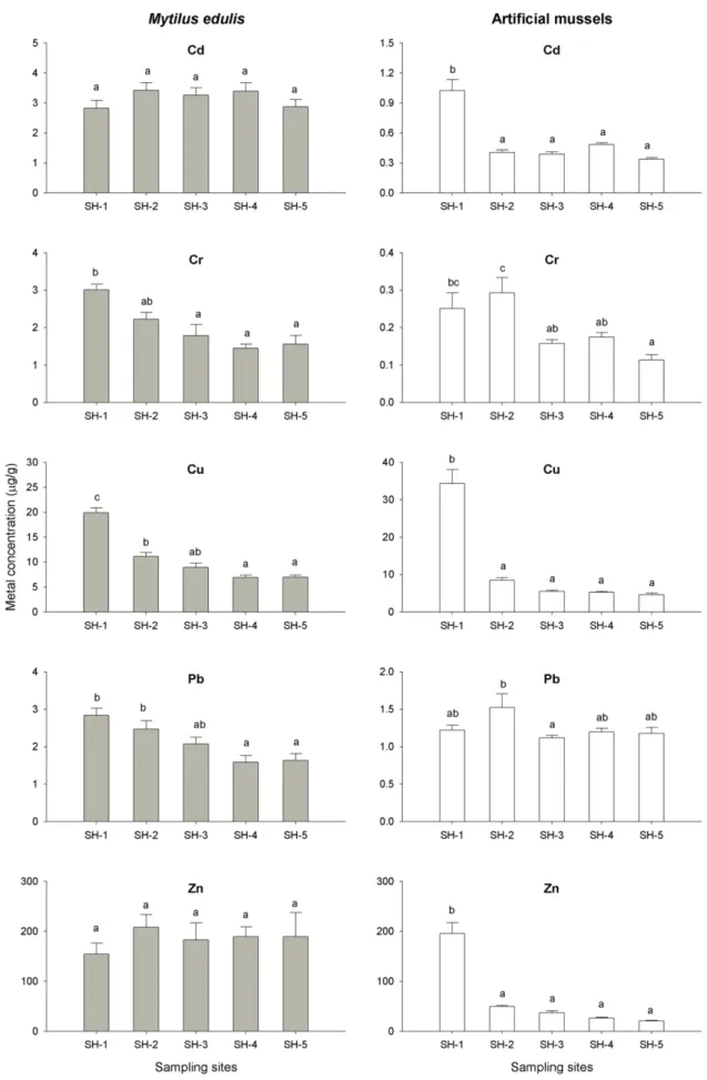 Fig. 8. Spatial patterns of metal accumulation (mean±SEM) in the transplanted Mytilus edulis and artificial mussels at 5 sites of Shihwa Lake after 12 weeks