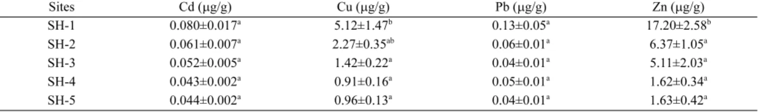 Fig. 9. Correlation of metals (Cd, Cu, Pb and Zn) for 5 sites between the mean of dissolved concentrations in seawater and both the artificial mussel and Mytilus edulis concentrations collected at 12 weeks