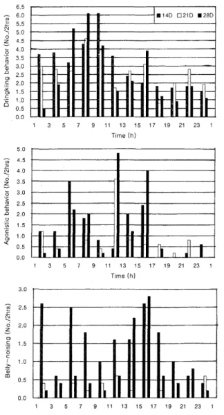 Fig  2.  Distribution  of  drinking ,  agonistic  and  belly-noising  number  over  the  24-hours  for  different  weaning  age  pigs