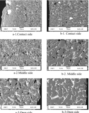 Fig. 6. Micrographs of ceramic layer prepared with quartz additions.