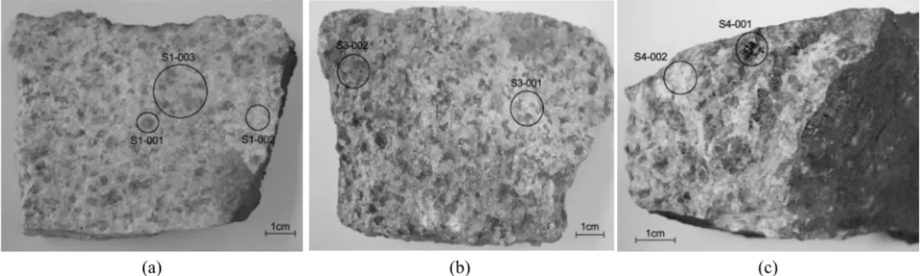 Fig. 4. Granite specimens from Mt. Gwanak, Seoul: (a) S1_001 is covered with reddish weathering products, especially iron oxides