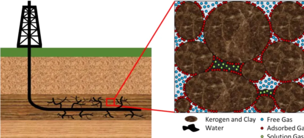 Fig. 1. Illustration of free gas, adsorbed gas, and solution gas in shale formations (Chen et al., 2017).