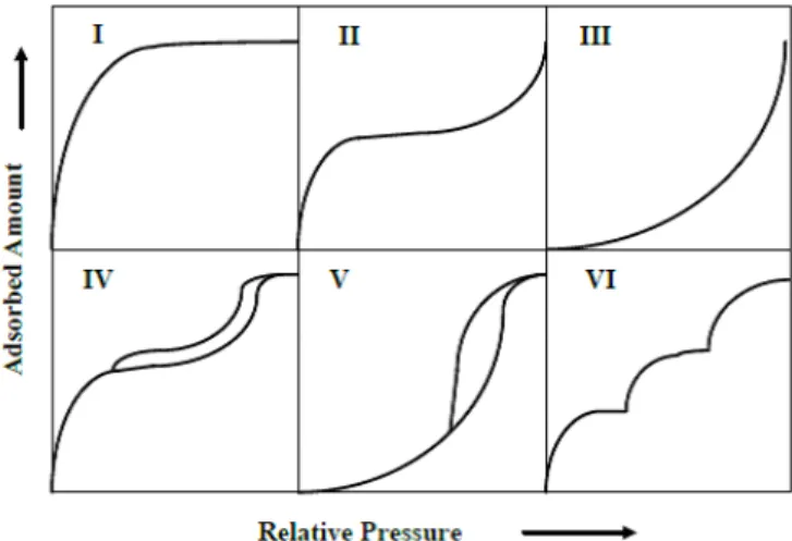 Fig. 4. Variation of the concentration of methane,   , with the distance from the shale surface,   