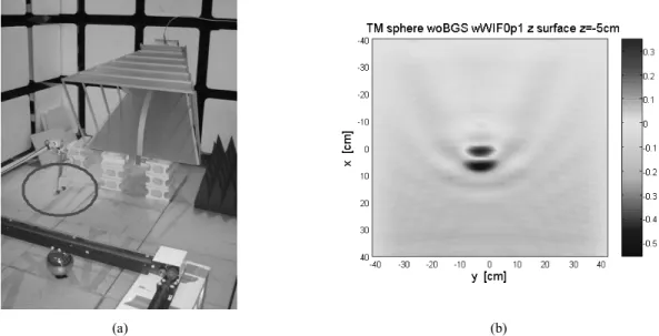 Fig. 9. Measurement setup in TM mode (a) and reconstructed image (b). The optical electric field sensor is aligned to the incident polarization.