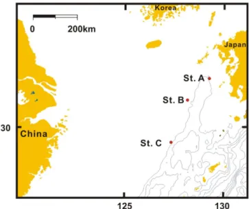 Fig. 1. Map showing sampling stations in eastern area of the East China Sea.