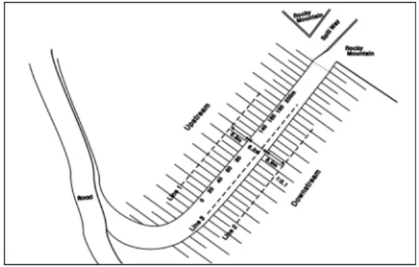 Fig. 1. Plan view of the embankment dam and location of survey lines.