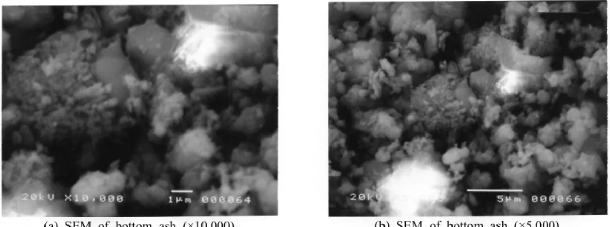 Fig. 7. The particle texture shapes of bottom ash.