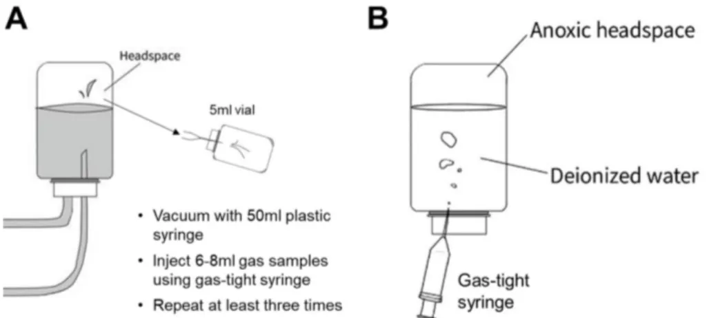 Fig. 3. Schematic diagrams showing how to store gas samples into an empty vial (A) and a headspace of the vial with deionized water (B) with syringes.