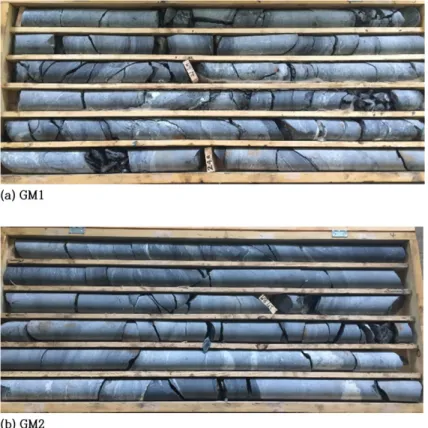 Fig. 1. The geological media samples obtained from the drill core (a) GM1, 22.1~22.8 m section and (b) GM2, 26.0~27.8 m section.