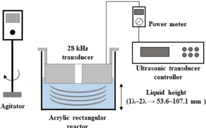 Fig. 1. Schematic of a downward-irradiation ultrasonic system in this study.