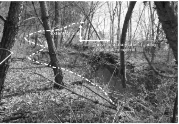Fig. 4. Failure extent on the surface above the old workings.