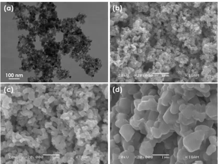 Fig. 5. TEM and SEM micrographs of LiNi 0.75 Co 0.25 O 2 particles prepared by flame spray pyrolysis a without calcination and with calcination at b 700 , c 800 , d 900 for 30 min.