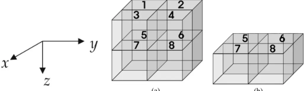 Fig. 1. Finite-difference grid sets in a left-handed Cartesian coordinate (a) inside the main body and (b) at the free surface.