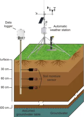 Fig. 2. The mimetic diagram of soil moisture sensors,  data logger and automatic weather station (AWS) in a  monitoring point