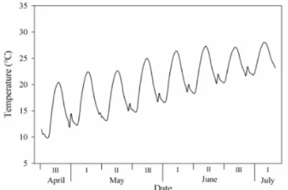 Fig. 1. Application of diurnal temperature fluctuation during experimental period. Ⅰ, the first ten days of a month; Ⅱ, the middle ten days of a  month; Ⅲ, the last ten or eleven days of a month