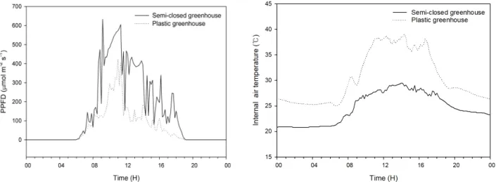 Fig. 2. Light intensities and air temperature inside the semi-closed greenhouse and plastic  greenhouse on Aug