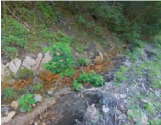 Fig. 2. Reddening caused by the discharged of pit water around Boeun Mine.