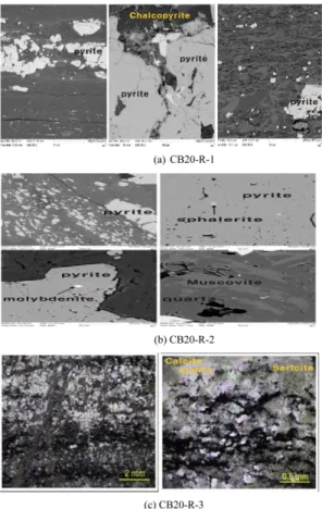 Table 1. The chemical composition of subsurface river deposits SSample. pH Cd (mg/kg) Cu (mg/kg) As (mg/kg) Hg (mg/kg) Pb (mg/kg) Cr 6+ (mg/kg) Zn (mg/kg) Ni (mg/kg) Fe (mg/kg) Al (mg/kg) Mn (mg/kg) SS-1 5.15 10.35 451.88 N.D