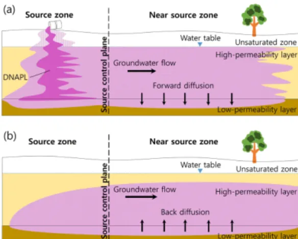 Fig. 1. Conceptual illustration of DNAPL source and near- near-source zones. (a) Forward and (b) back diffusion processes occur with negative and positive concentration gradients between the high- and low-permeability layers.