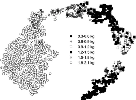 Fig. 6. Visually depicted distribution of sweet pepper images by fresh weight. The distribution was visualized by t-Stochastic Neighbor Embedding  (t-SNE).