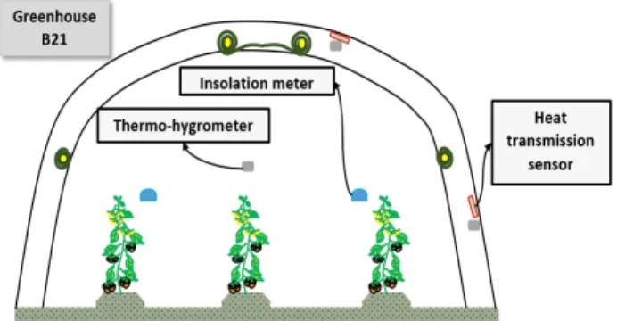 Fig. 5. Sensor location map in PE film (B23). Fig. 6. Sensor location map in PO film (B21).