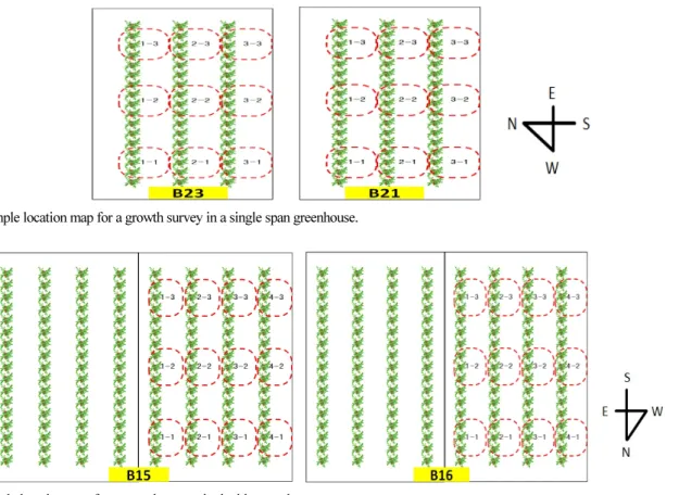 Fig. 12. Sample location map for a growth survey in double greenhouse.