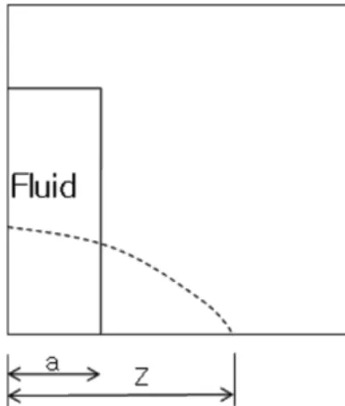 Fig. 4. (a) The density as function of non-dimensional depth for a fluid with ρ=1.0 and τ=0.596