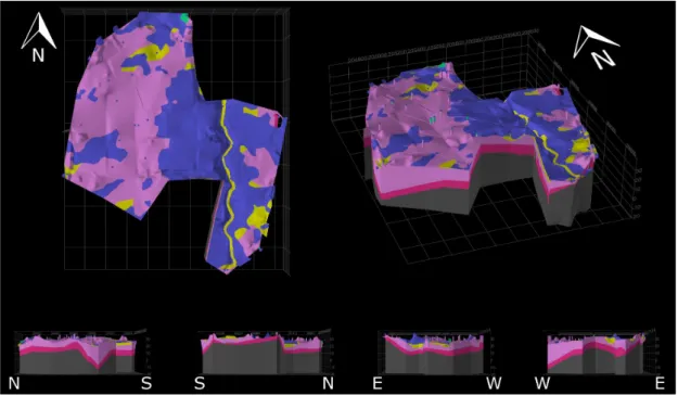 Fig. 6. A 3D geological model of the study area in top view, quarter view, and the cardinal points view from each  direction (vertically exaggerated by 10 times).