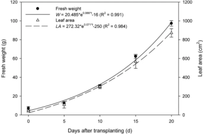Fig. 1. Fresh weight and leaf area of the lettuce at 0 - 20 days after transplanting. Vertical bars represent the mean ± SD (n = 15)