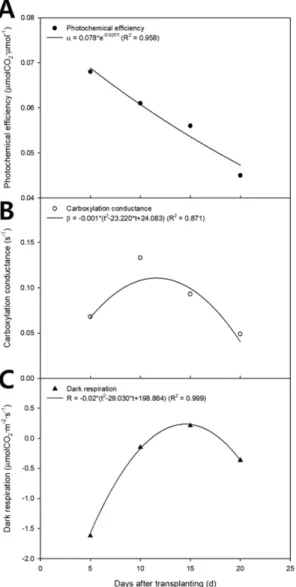 Fig. 3. Regressed photochemical efficiency (A), carboxylation conductance (B), and dark respiration (C) with the modified rectangular hyperbola model according to growth stage.