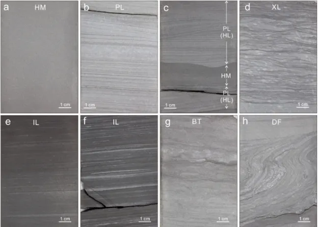 Fig. 2. Photos of sedimentary facies. For location of photos, see Figure 3. HM: homogeneous mudstone, PL: paral- paral-lel-laminated mudstone, HL: hummocky laminated mudstone, XL: cross-laminated mudstone, IL: indistinctly  lami-nated mudstone, BT: bioturb
