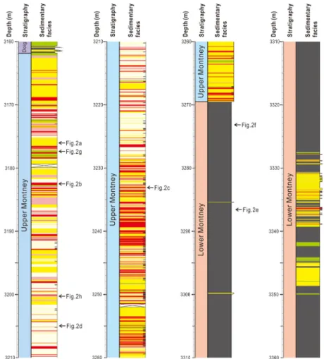 Fig. 3. Summarized borehole plots of stratigraphy and sedimentary facies.