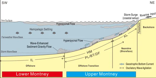Fig. 4. Schematic diagram showing depositional environments and sedimentary processes of the Montney  Formation.