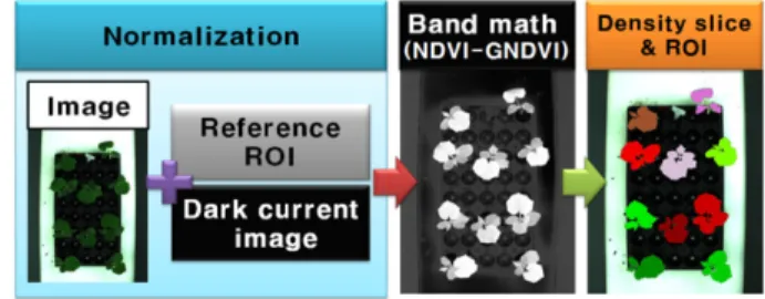 Fig. 3. Schematic diagram of image processing.