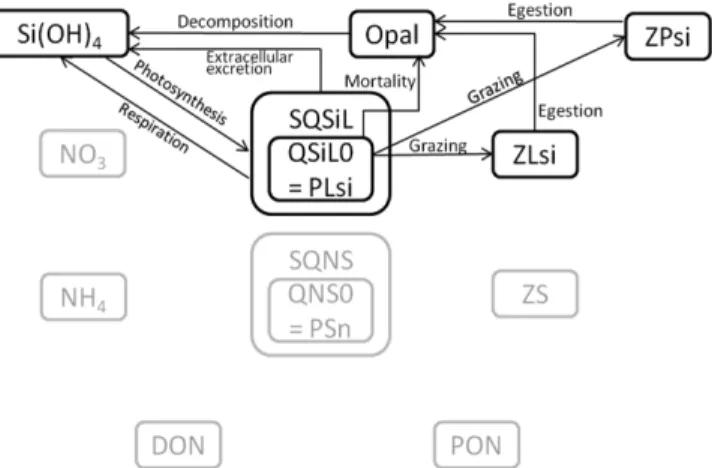 Fig. 1 and Fig. 2 show the schematic diagrams of the ecosystem model.