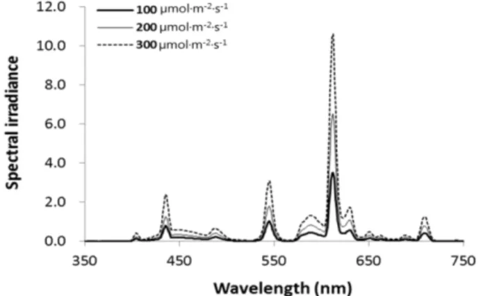 Table 1. Nutrient solution formulations applied to the green leaf lettuce ‘Cheongchima’ for 7 days before harvest in the closed-type plant production system with the recirculating ebb and flow hydroponics.