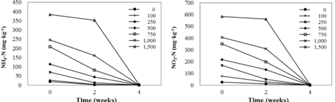 Fig. 3. Changes in the root medium concentrations of NH 4 -N and NO 3 -N during the cultivation of radish plug seedlings as influenced by various amounts of nitrogen (mg·L -1 ) incorporated as pre-planting nutrient charge fertilizer in the perlite:coir dus