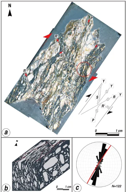 Fig. 8. (a) Rock slab image of the fault breccia in the slip-parallel section at the study location A