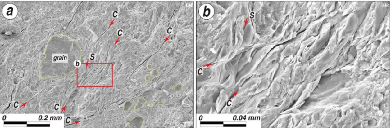 Fig. 9. (a) SEM image of fault gouge showing the S-C fabric. (b) Magnification of the red boxed area in (a)