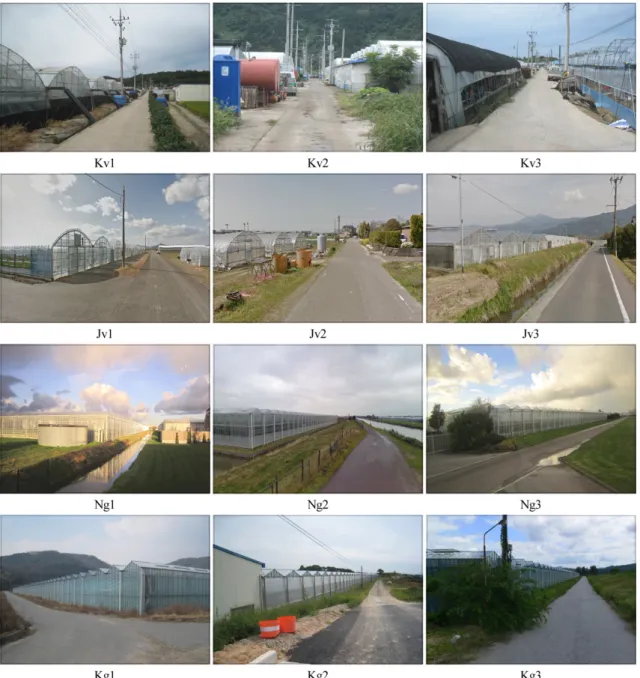 Fig. 1. The image slide of study sites.