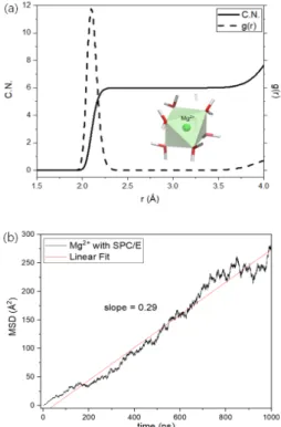 Fig. 3. (a) Radial distribution function (RDF) and  CN and (b) mean squared displacement (MSD) of  Mg 2+  in aqueous solutions.
