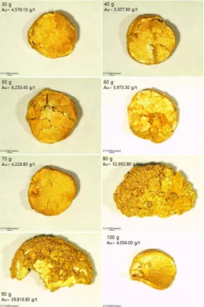 Fig. 14. Stereoscopic microscope image of gold par-  ticles from solid-residue using lead-fire assay