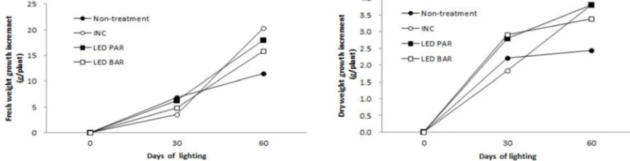 Fig. 2. Changes of the fresh and dry weight on the ground by artificial light sources and light intensity in strawberry.