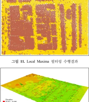 그림 12. Local Maxima 를 이용하여 제작된 DEM
